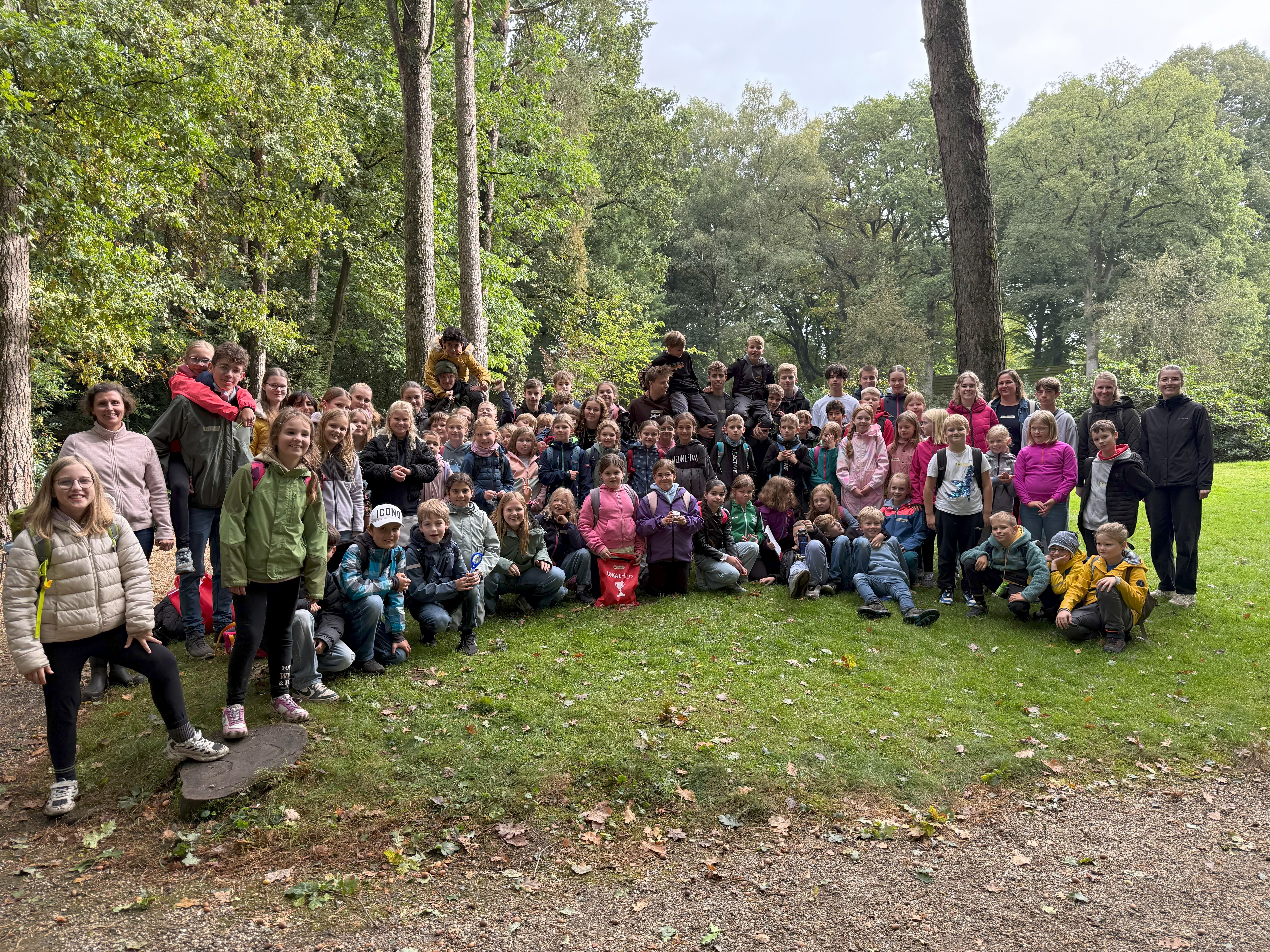 Waldprojekt:  Die Marienschule trifft das Maria-Sibylla-Merian Gymnasium (MSMG)